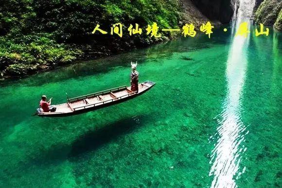 逗小猴开心系列174