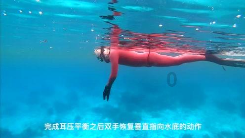 宇宙蜜蜂无敌版